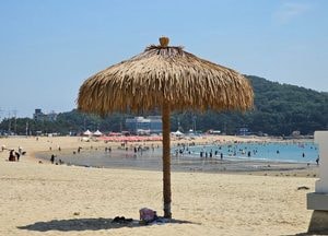 [다음주 날씨] 수도권, 주 중반 비 소식...무더위·열대야 계속