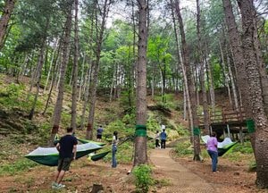 “폭염에 지친 여러분, 산림치유 프로그램 참여하세요” 경기도, 가평·포천·양평·동두천 4곳서 운영