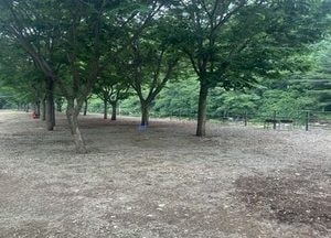 경기도, 여름철 하천·계곡 불법행위 단속 강화...도-시군 합동 집중점검반 운영