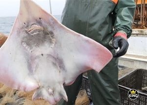인천시, 대청도 홍어 담은 홍보영상 공개