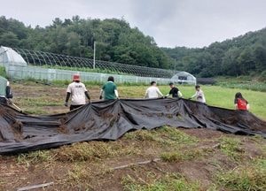 포천 행복드림농촌봉사단, 신북면 들녘서 ‘구슬땀’
