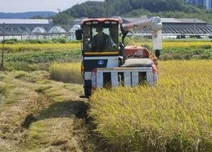 양주시, 가을 수확철 콤바인 영농대행 접수 시작…내달 22일부터 수확 마무리까지