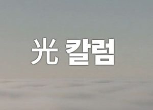 [光 칼럼] 흰색, 민족의 기억에서 대통령의 넥타이까지