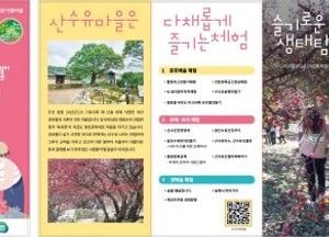 이천산수유마을, 사계절 힐링 여행지로 주목...산수유사랑채 ‘농촌형 워케이션’ 인기