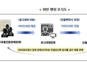 일반식품이 ‘먹는 위고비’로 둔갑…인플루언서 동원해 324억원 팔아