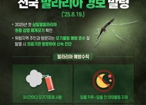 말라리아 전국 경보 발령…시흥시 무료 신속검사 실시