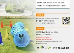 인천 부평구, 반려견 행동교정·장애물 경주 교육 운영