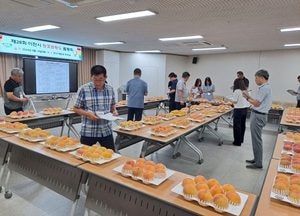 이천시, 내달 18~21일 ‘햇사레 장호원복숭아 축제’서 황도 품평·전시회 연다