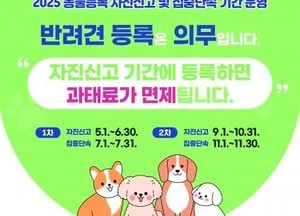 인천 계양구, 반려견 동물등록 자진신고 내달 1일부터 운영
