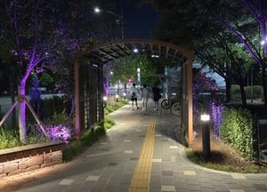 인천 남동구, 가로수 터널로 폭염 완화·보행환경 개선