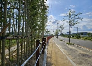 안성시, 아롱개 도시바람길숲 연계 ‘흙향기 맨발걷기길’ 조성 완료