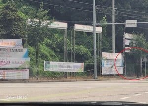 포천 주요 도로 불법 현수막 난립…교통안전 위협·도시미관 훼손