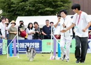 ‘제3회 이천펫축제’ 13~14일 이천도자예술마을서 개최...어질리티 전국대회 122팀 출전