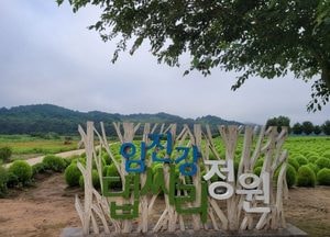 연천군, 임진강 댑싸리 정원 내달 31일까지 무료 개장