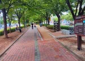 인천 계양구, 봉오대로 중앙녹지에 820m ‘맨발걷기길’ 조성