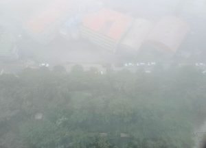 [기상청 방재속보] 짙은 안개 주의...내륙 곳곳 가시거리 200m 미만