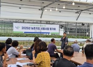 남양주시, 이상고온 대응 시설채소 안정생산 ‘우수’ 선정...농가 소득 안정화 기여
