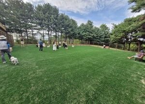 고양특례시, 정발산공원 반려견 놀이터 24시간 운영...중·소형견-대형견 전용 공간 마련
