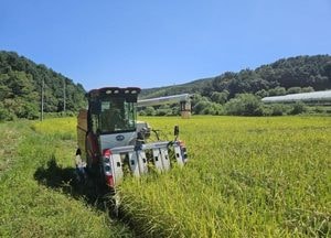 연천군, 지역특화 품종 ‘연진벼’ 첫 수확…햅쌀로 출시 예정