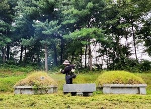 흐린 하늘 '벌초하기 좋은날'