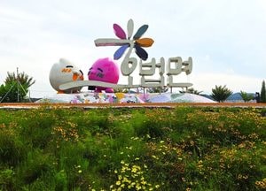 [사진으로 봤다] 이천시 제3회 호법꽃축제 성료...코스모스 꽃길 따라 추억 남겨