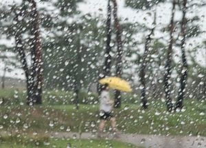 수도권 곳곳 호우특보…화성 능동 지하차도 통제