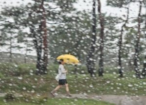 [내일 날씨] 경기·인천(17일, 수)...흐리고 비, 남부 최대 80㎜