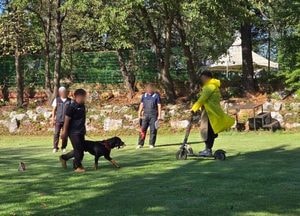 경기도, 맹견소유자 내달 26일까지 사육허가 받아야