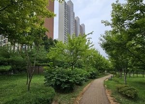 인천 미추홀구, 도화 녹지에 맨발 산책로 11월 완공