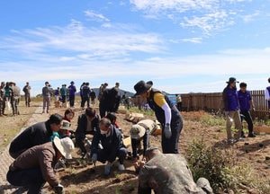 국립수목원, DMZ 유해발굴지 생태복원…민·관·군 합동 참여