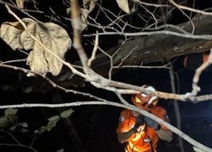 양평 용문산서 미국인 여성 추락사고…4시간 만에 구조