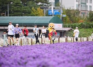 천일홍 꽃밭을 달렸다...양주시 '별산런(Run)' 성황