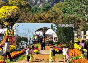만개한 국화 사이로 유치원생들의 가을 소풍…연천 국화축제