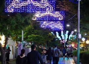 인천 남동구 ‘소래 빛의 거리’ 조성…야경 명소로 새 단장