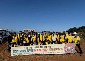인천도시공사, 강화군 농가 찾아 일손 돕기… 도농상생 실천