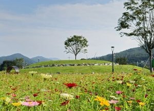 안성시 ‘금광호수 박두진 문학길’ 올해 누적 관광객 30만명 돌파