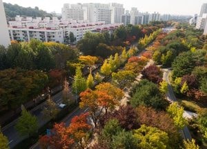 평택시 국도1호선 가로숲길, 산림청 2025년 녹색도시 우수사례 공모 ‘우수상’ 수상