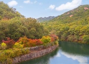 ‘비밀의 숲, 모두의 숲으로’ 안양시, 서울대 안양수목원 58년 만에 전면 개방