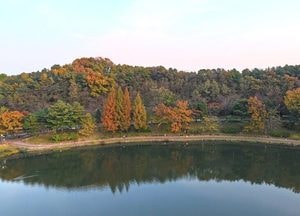 [오늘 날씨] 경기·인천(7일, 금)...입동에도 낮엔 포근, 일교차 10도 이상