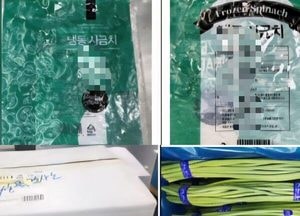 중국산 ‘마늘쫑·냉동 시금치’서 잔류농약 초과 검출…식약처, 회수 조치
