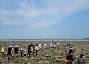 문경복 옹진군수, 해루질 사고로 ‘23개 전역 통제 추진 중’…한 곳만 지정돼 주민 오해”