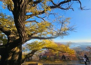 [오늘 날씨] 경기·인천(13일, 목)...수능일 아침 짙은 안개, 낮부터 맑아져
