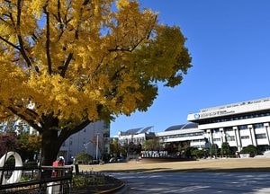 인천시, 제2회 대한민국 김장문화축제 개최…3일간 전통·체험·특산물 한자리