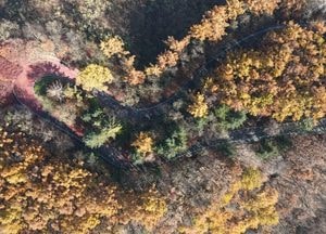 [내일 날씨] 오전까지 짙은 안개…일교차 15℃ 안팎