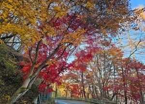 [오늘 날씨] 경기·인천(15일, 토)...대체로 맑고, 일교차 커