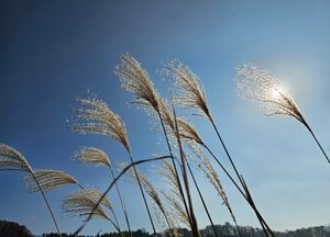 [오늘 날씨] 경기·인천(17일, 월)...찬 공기 유입, 체감온도 ‘뚝’