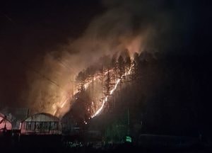 양평 청운면 야산서 산불…주택 창고 불 번져 2시간58분 만에 진화