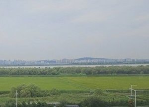 고양특례시, 장항습지 선버들 활용 양봉 시범사업 추진...지역상생 모델로 발전 기대
