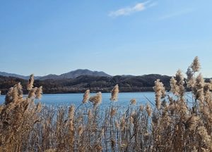 [내일 날씨] 찬바람 계속...경기남부 새벽 빗방울·살얼음 주의
