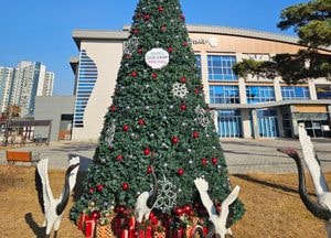 여주 오학동 행정복지센터 앞, 대형 크리스마스트리